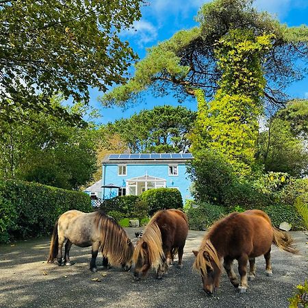Verde Limone -The Studio&Bay View Cottage St Austell Esterno foto