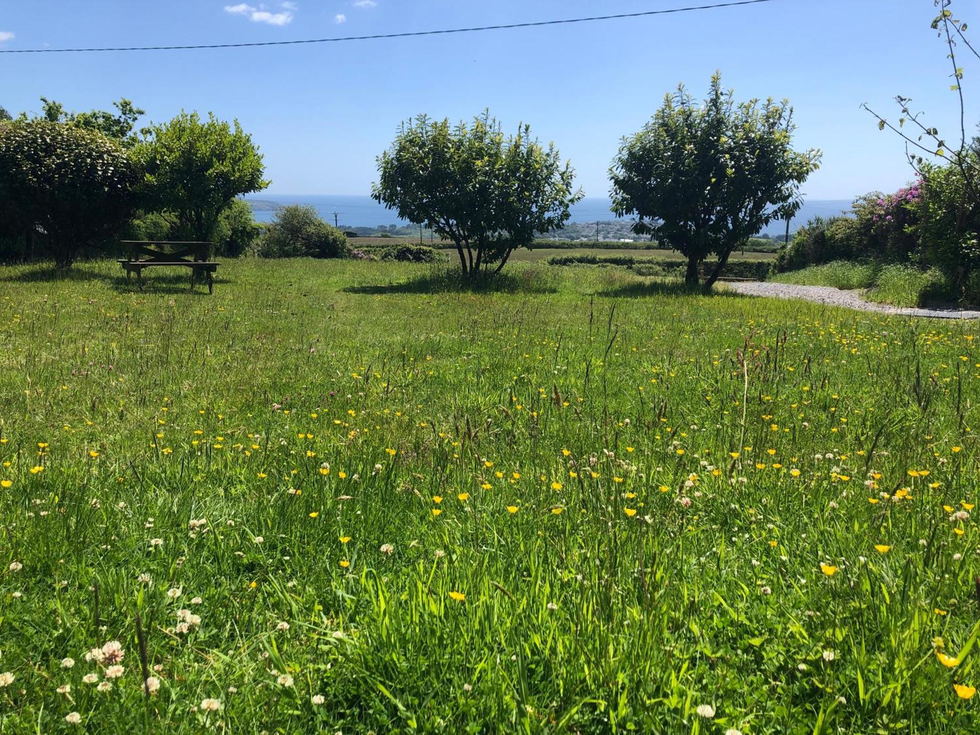 Verde Limone -The Studio&Bay View Cottage St Austell Esterno foto