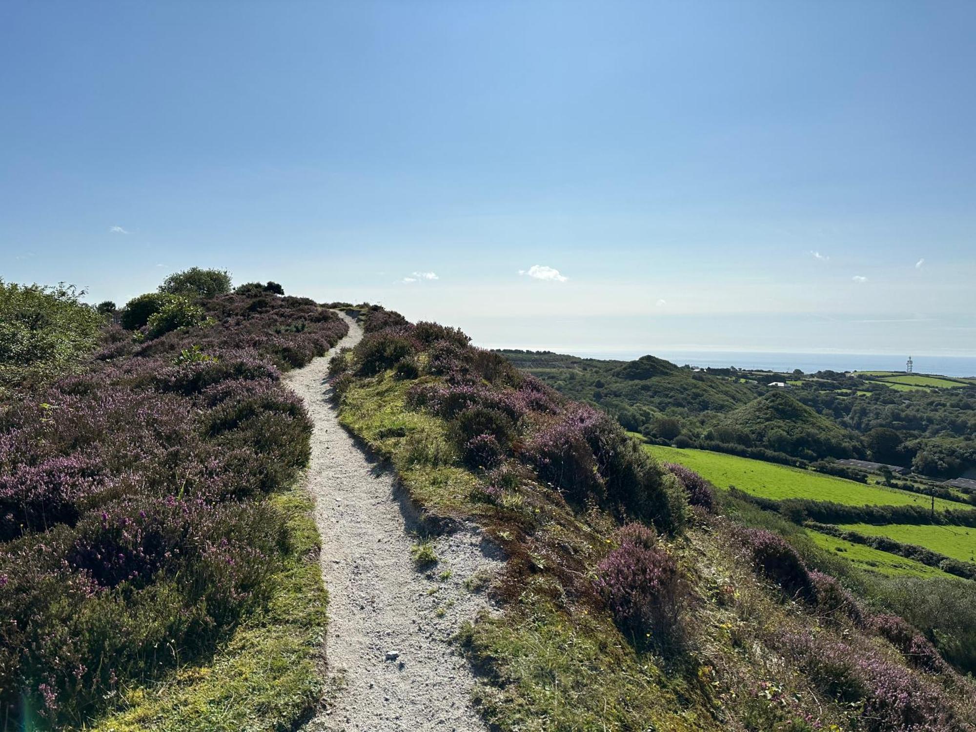 Verde Limone -The Studio&Bay View Cottage St Austell Esterno foto